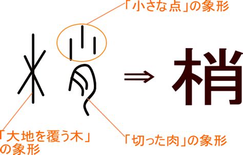 木乙 漢字|「乙」という漢字の意味・成り立ち・読み方・。